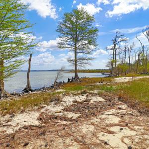 Waterfront Lot in Neuse Point East