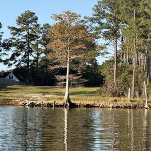 Waterfront Lot in Neuse Point East