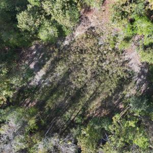 dji_fly_20241104_134200_0067_17307459210