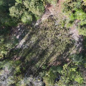 dji_fly_20241104_134200_0067_17307459210