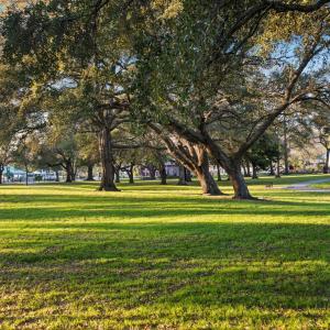 27-web-or-mls-42-print-66-print-63-print