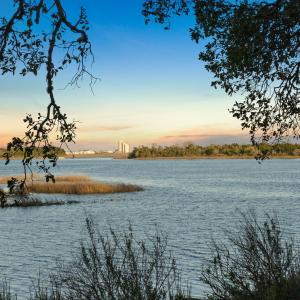 24-web-or-mls-43-print-65-print-64-print