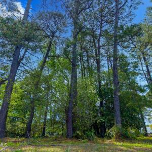 2973 Trailwood Dr MLS-31