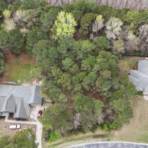 dji_fly_20260325_122512_0017_17744564516