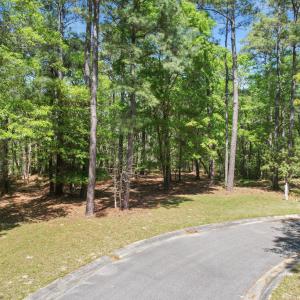 2959VerrazanoLnSE - 3