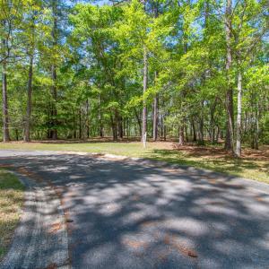 2959VerrazanoLnSE - 1