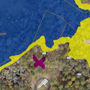 GIS flood zone map