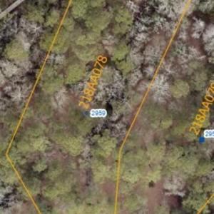 GIS aerial zoom