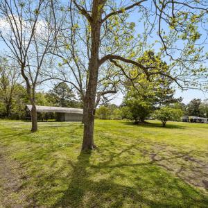 7-web-or-mls-0C0A0144