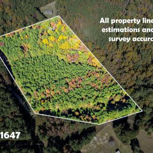 10-web-or-mls-3191 Bruce Garner (1 of 4)