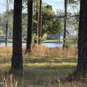 IMG_0818