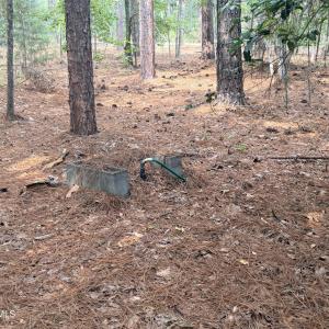 Photo #50 of 1551 Linden, Aberdeen, NC 5.0 acres