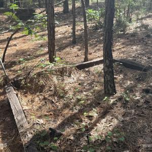 Photo #49 of 1551 Linden, Aberdeen, NC 5.0 acres
