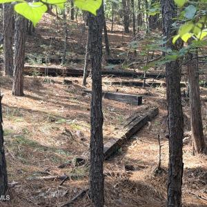 Photo #47 of 1551 Linden, Aberdeen, NC 5.0 acres