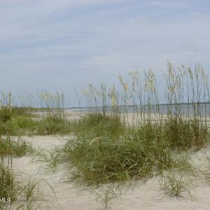 Oak Island