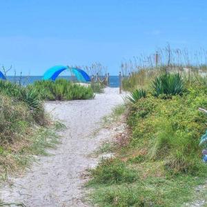 Oak Island
