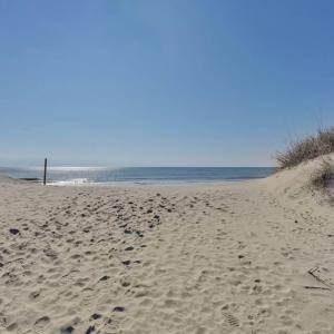 Oak Island