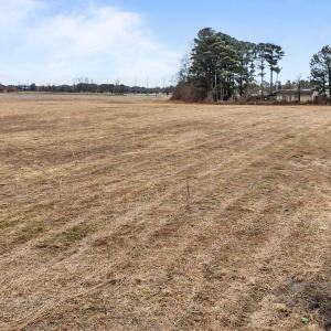 12-web-or-mls-DJI_20260211120107_0358_D