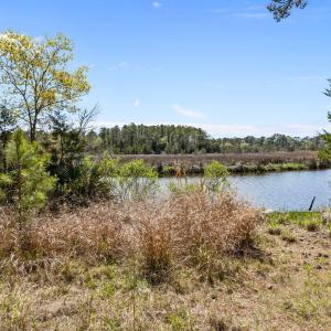 5-web-or-mls-1S3A5211