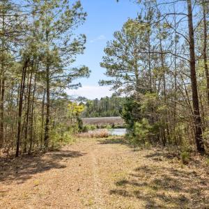 6-web-or-mls-1S3A5216