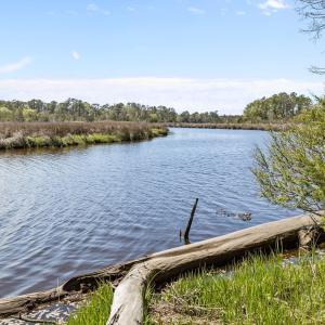 3-web-or-mls-1S3A5205