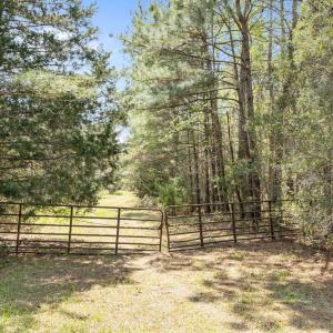 8-web-or-mls-1S3A5220