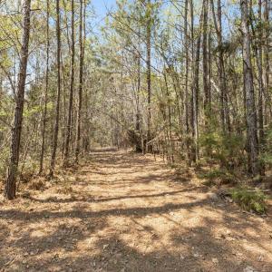 7-web-or-mls-1S3A5217