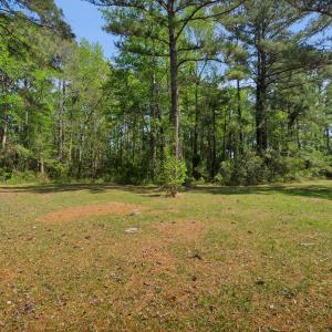 310 Myrtlewood Lane