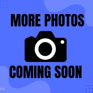 WP-MorePhotosComingSoon-FillerImage