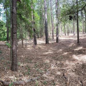 1679WMassachusettsAve_67571_1