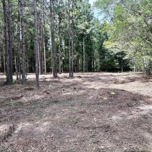 1679WMassachusettsAve_67571_2