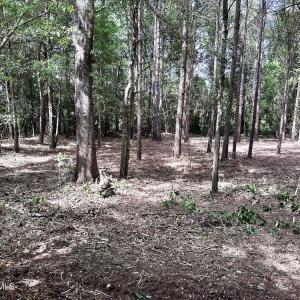 1679WMassachusettsAve_67571_3