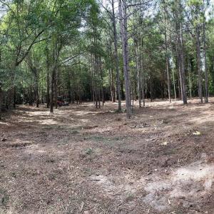 1679WMassachusettsAve_67571_4