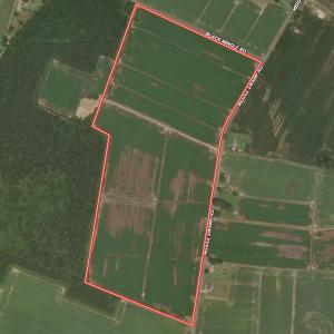 Aerial 1