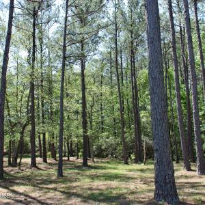 Stirling Hills Homesite