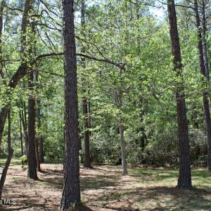 Wooded Golf Homesite
