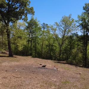 2026-04-15-14-11-17-550