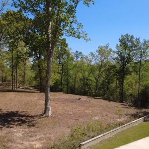 2026-04-15-14-16-37-386