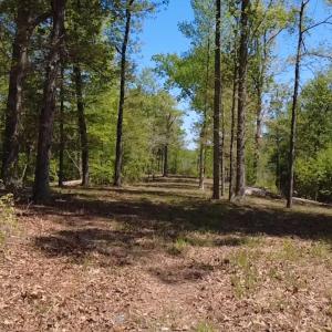 2026-04-15-14-15-32-793