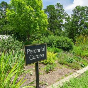 community-gardens-3