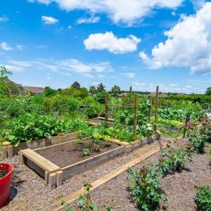 community-gardens-5