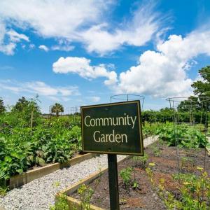 community-gardens-4