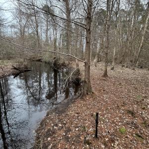 #1 Cypress Bottom-Creek