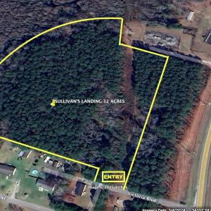 Sullivans Micro aerial