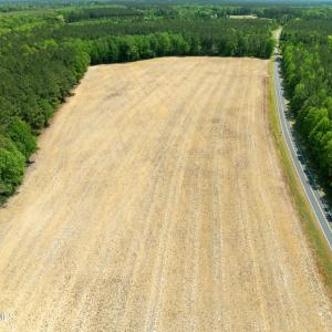 DJI_0981