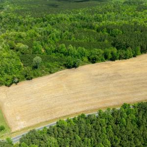 DJI_0955