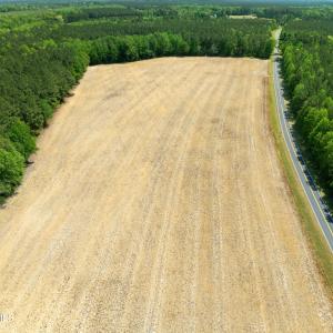 DJI_0981