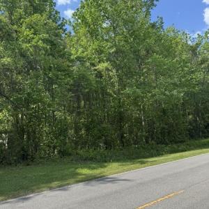 F76C280E-355A-4FAE-9321-4B1891A57AA9_1_1