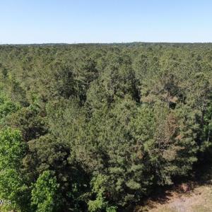 IMG_5741