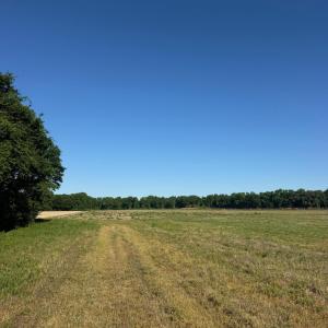 IMG_5284
